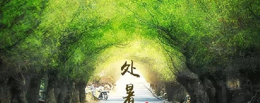 处暑节气短信祝福句子2023有哪些？如何编写创意祝福语？