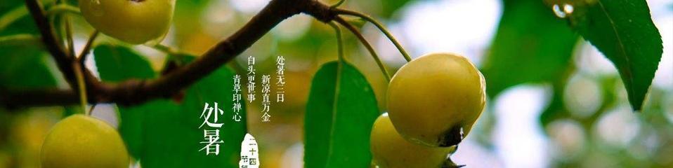 处暑节气的朋友圈说说汇总？如何用创意文案迎接秋天的到来？