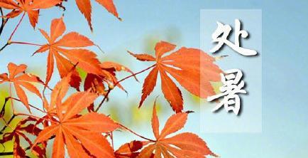 处暑节朋友圈句子说说怎么写？有哪些创意句子推荐？