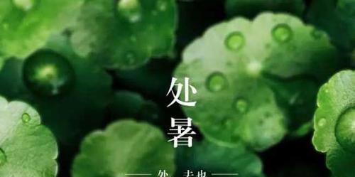 处暑节气如何给朋友发送祝福？有哪些创意祝福语推荐？