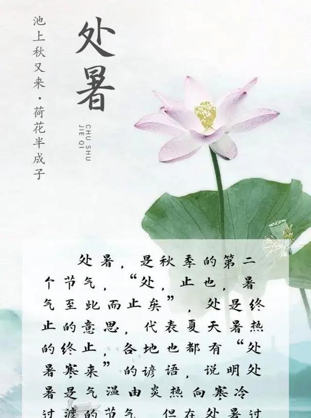 处暑抖音说说怎么写？有哪些创意文案推荐？