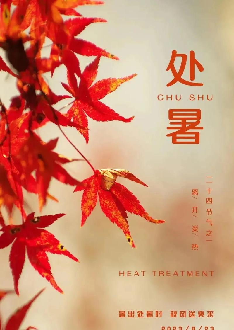 处暑抖音快乐说说短语怎么写？有哪些创意点子？