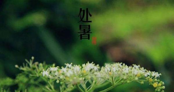 处暑节气如何发说说吸引人？有哪些创意点子？
