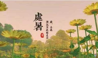 处暑的朋友圈心情说说怎么发？分享哪些应季感悟？