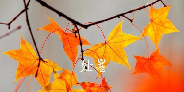处暑到了心情说说？如何调整心态迎接秋天的到来？