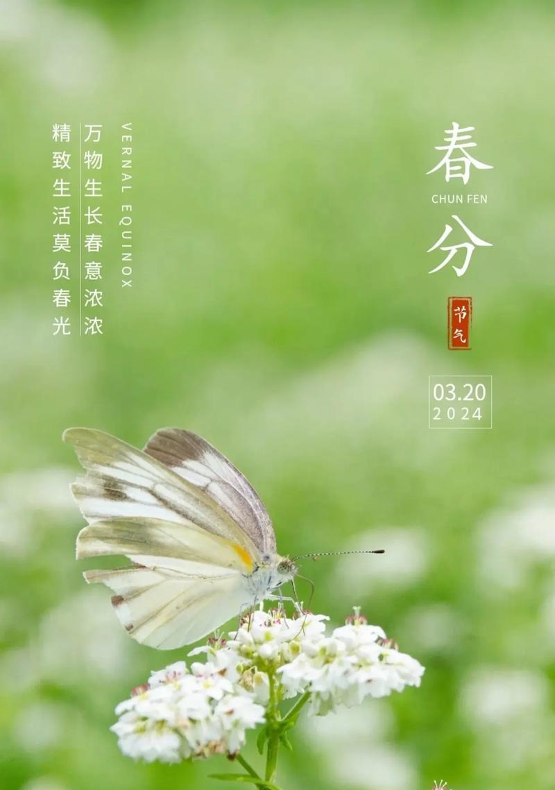 《春分之际：二十四节气的诗意流转》