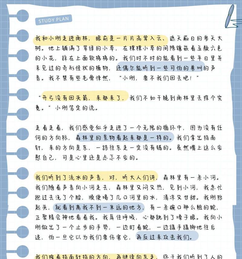 《雨林探秘：绿林深处寻幽境》