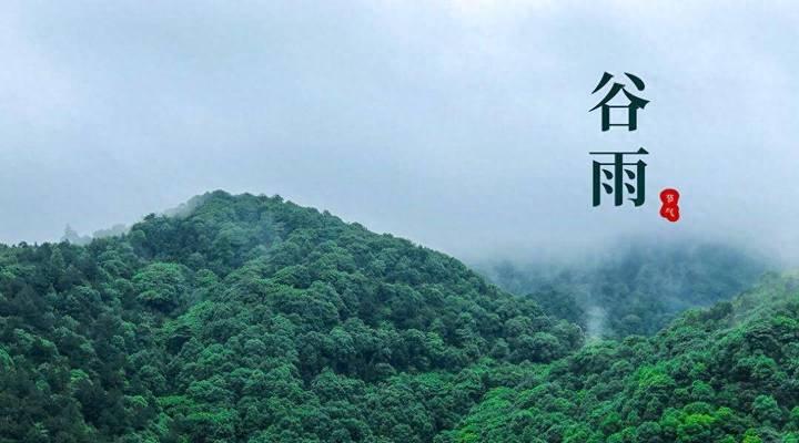 《谷雨润金陵，春意盎然时》