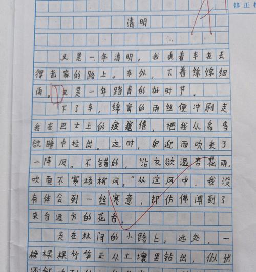 有关清明田野风景作文的作文怎么写（《清明田野风景作文》）