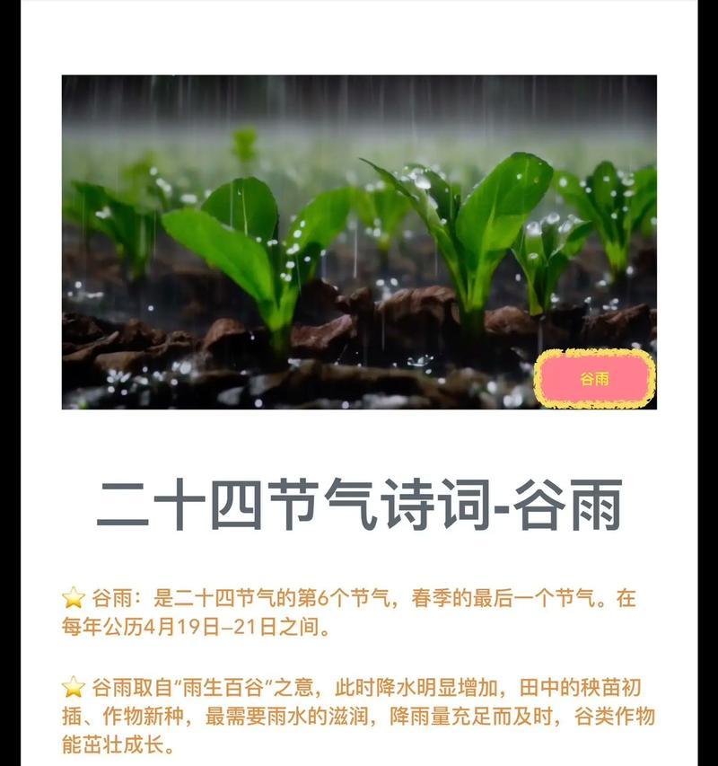 《谷雨时节壮乡情：雨润花开，春意盎然》