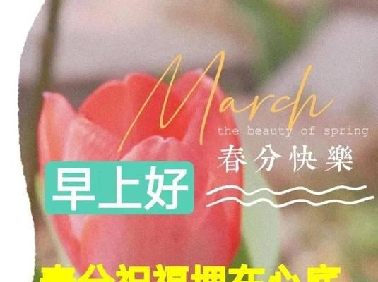 《春分雅颂：文化自信的四时礼赞》