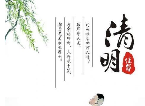 《清明思古：春光无限与先人共语》