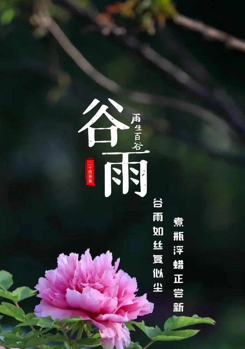 《谷雨润物细无声，春归大地绿满园》
