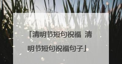 《清明芳菲，岭南春意浓》