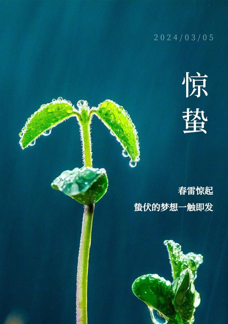 《春雷唤醒百蛰，翠影绘春分》
