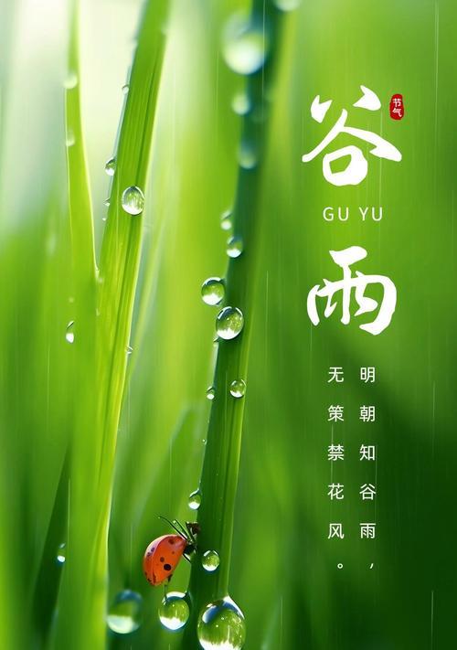 《谷雨之时，万色斑斓——古风雅韵绘春意》