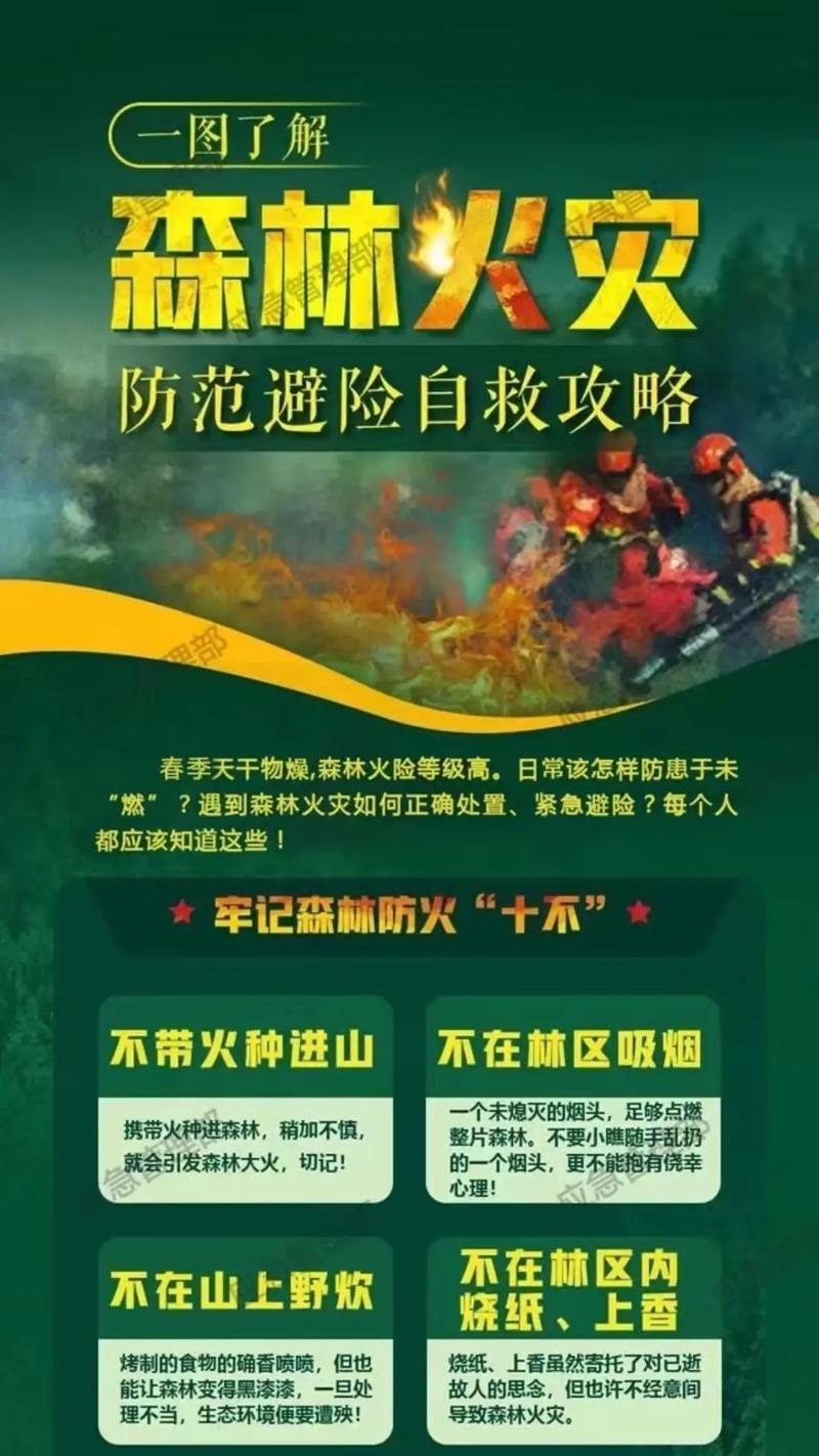《绿林警钟，清明祭思》