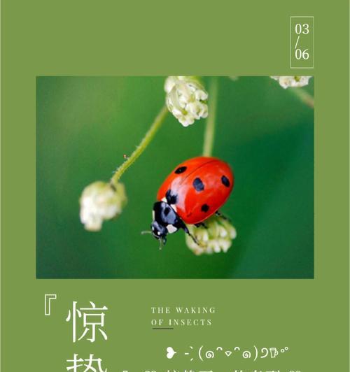 《春意盎然：立春惊蛰春分之雅颂》