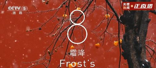 《冰上春光·雪里梅韵：冬奥会中的春分启示》