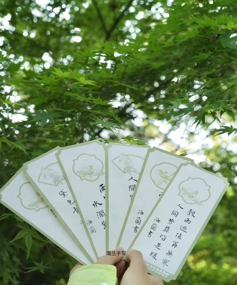 《谷雨时分，玩具情缘》