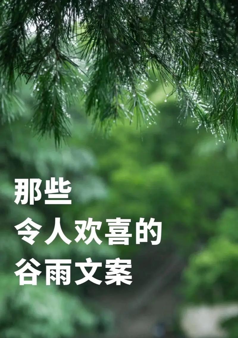谷雨润叶，岁月静好