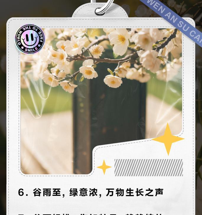 《谷雨之约，古韵悠扬》