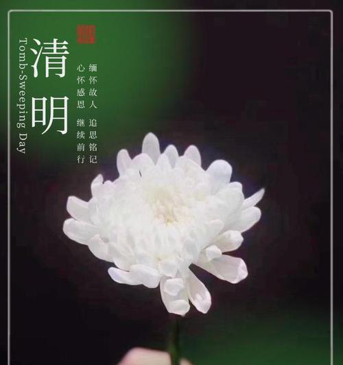 《花间一壶酒，清明细雨中》