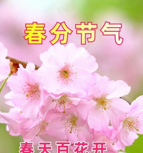 《春分礼赞：杏花微雨中的一年级新生》