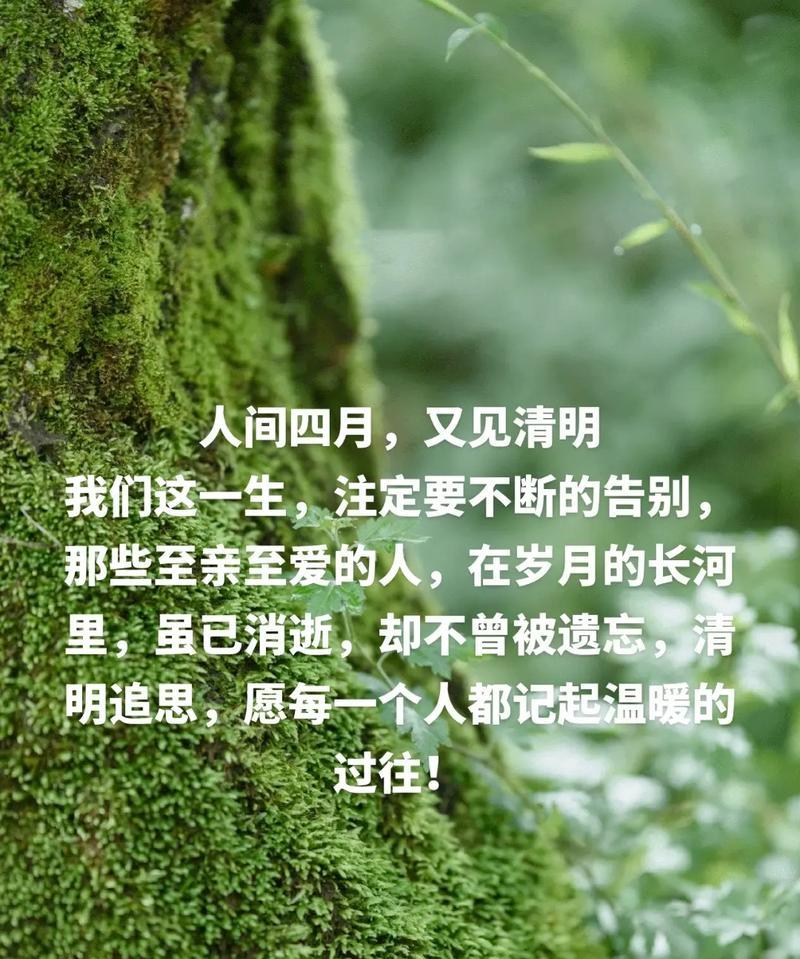 《春光乍泄·清明后记》