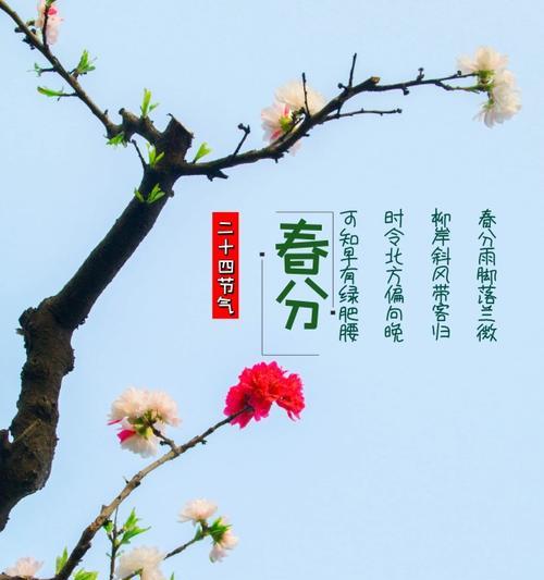 《春分时刻：古韵今风》