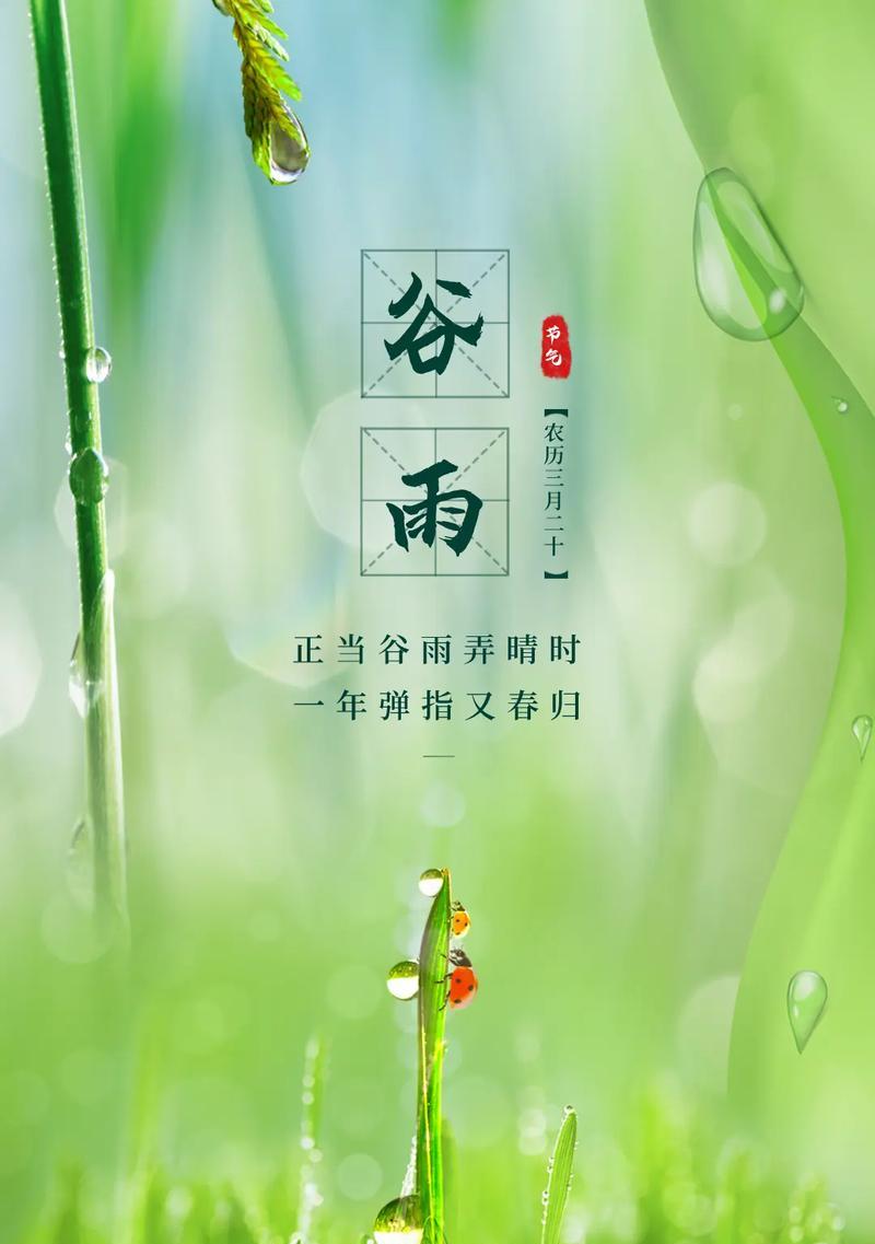 《谷雨细语，千年传情》