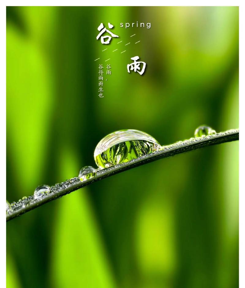 《雨润桑麻时：谷雨之韵》