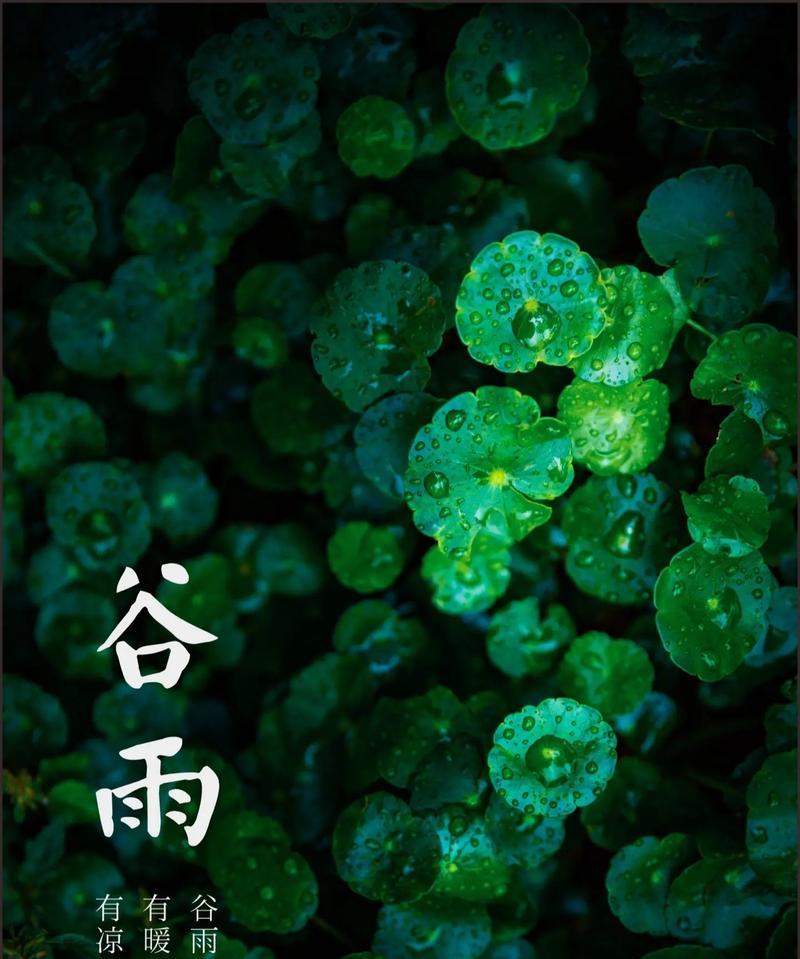 《谷雨轻抚，春意盎然》