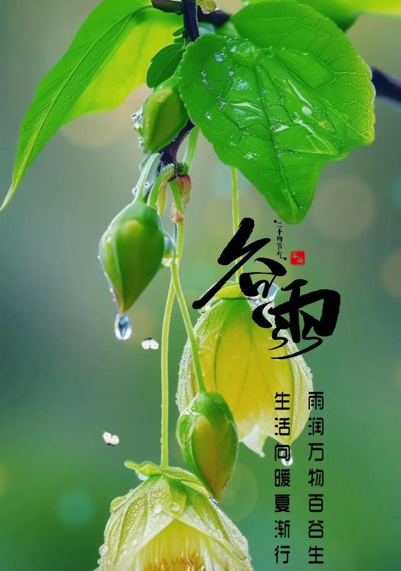 《谷雨润三春，诗韵绘清欢》