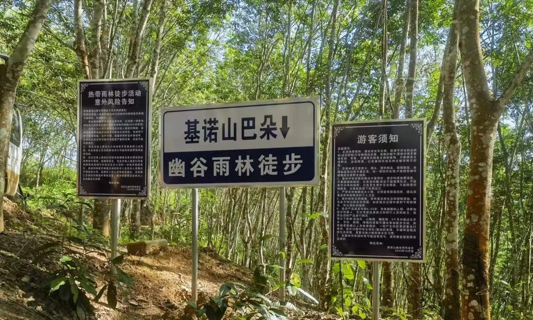 《步雨林幽径，悟道心自然》