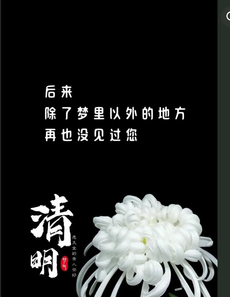 《青烟起处泪两行：清明怀古情》