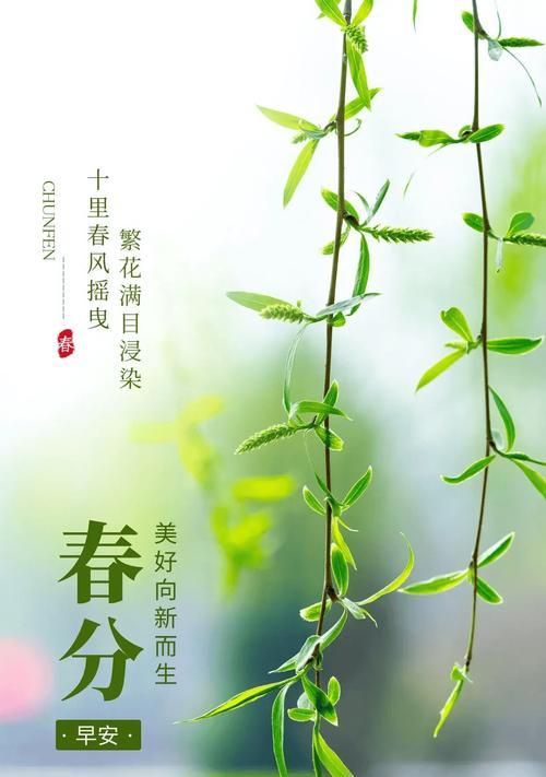 东方甄选春分名言警句好句有哪些？（春分雅韵：东方甄选之诗意流芳）
