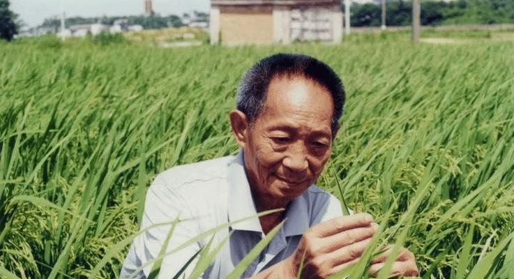 清明节如何表达对袁隆平的思念？（《追思隆平，缅怀先贤》）