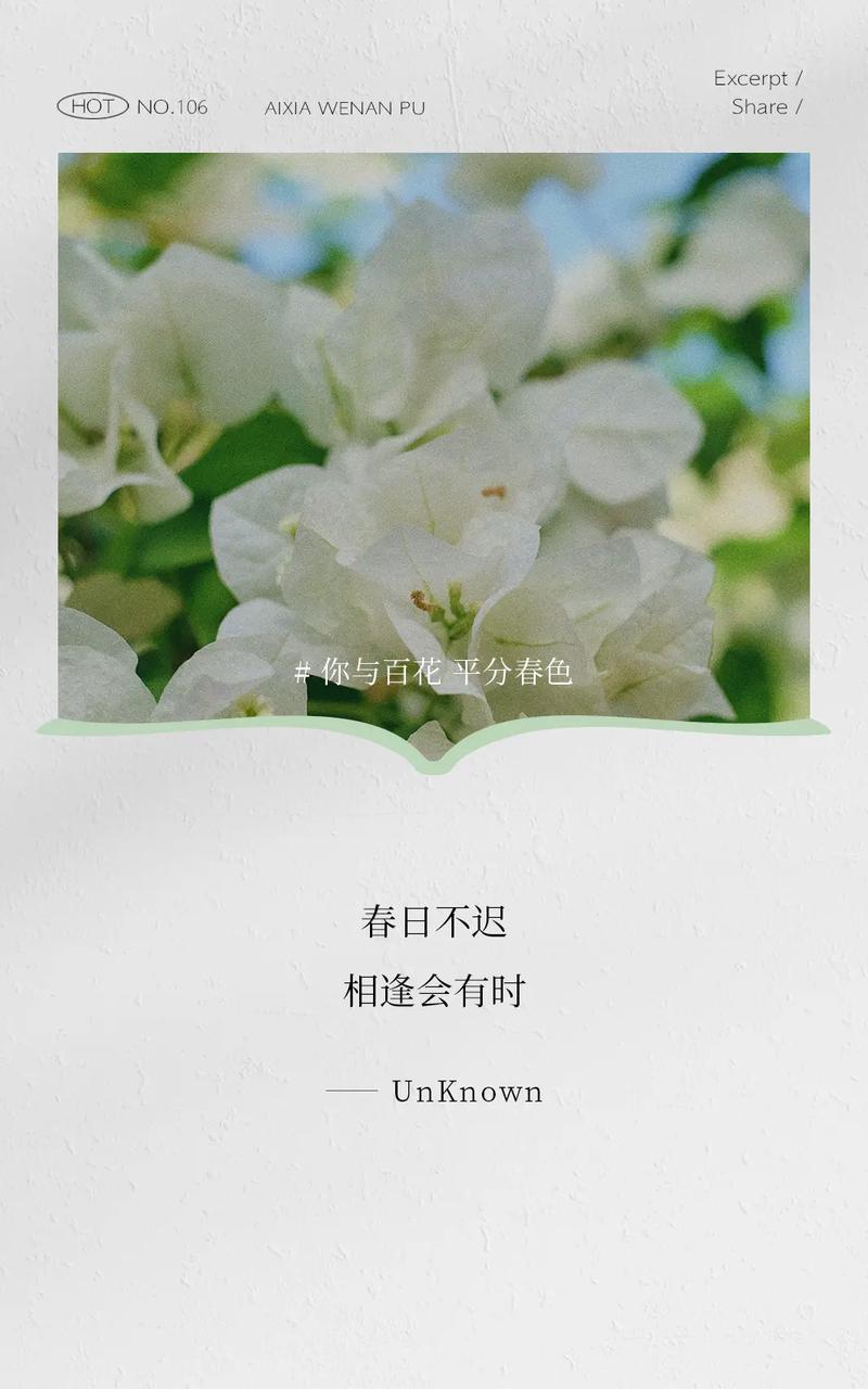春分语录好句有哪些？（《春分之际，万物复苏》）