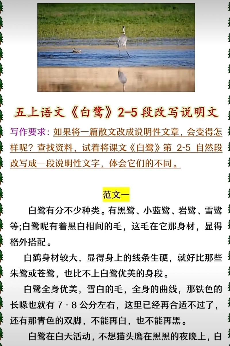 有关白鹭和谷雨片段怎么写语录的好句子（《白鹭翔集，谷雨绵绵》）