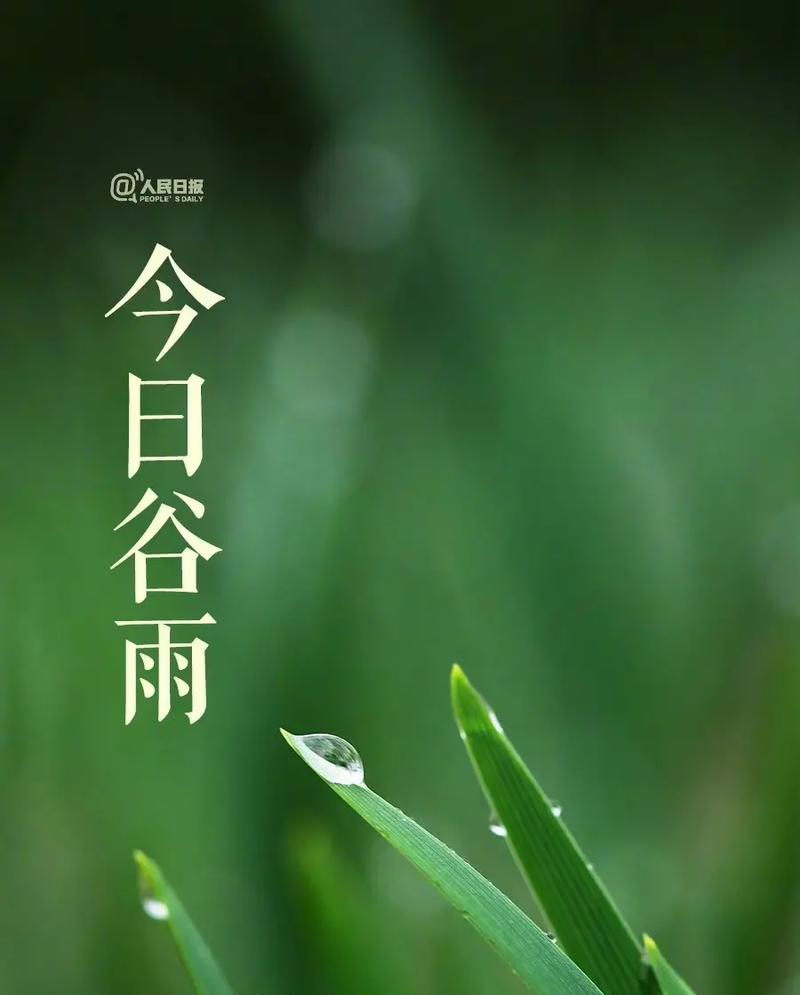 谷雨后面是什么季节（《谷雨末春，繁华落尽又一年》）