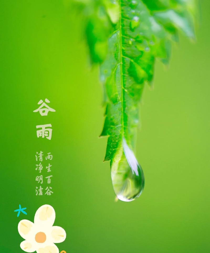 关于谷雨的金句好句有哪些？（谷雨润心田，诗意盎然时）