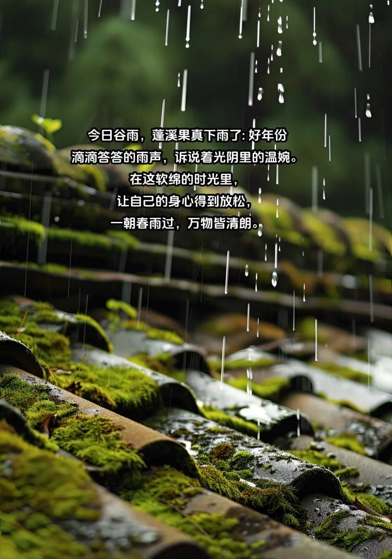 关于谷雨的跟踪语录好句有哪些？（谷雨时节，细雨润物无声）