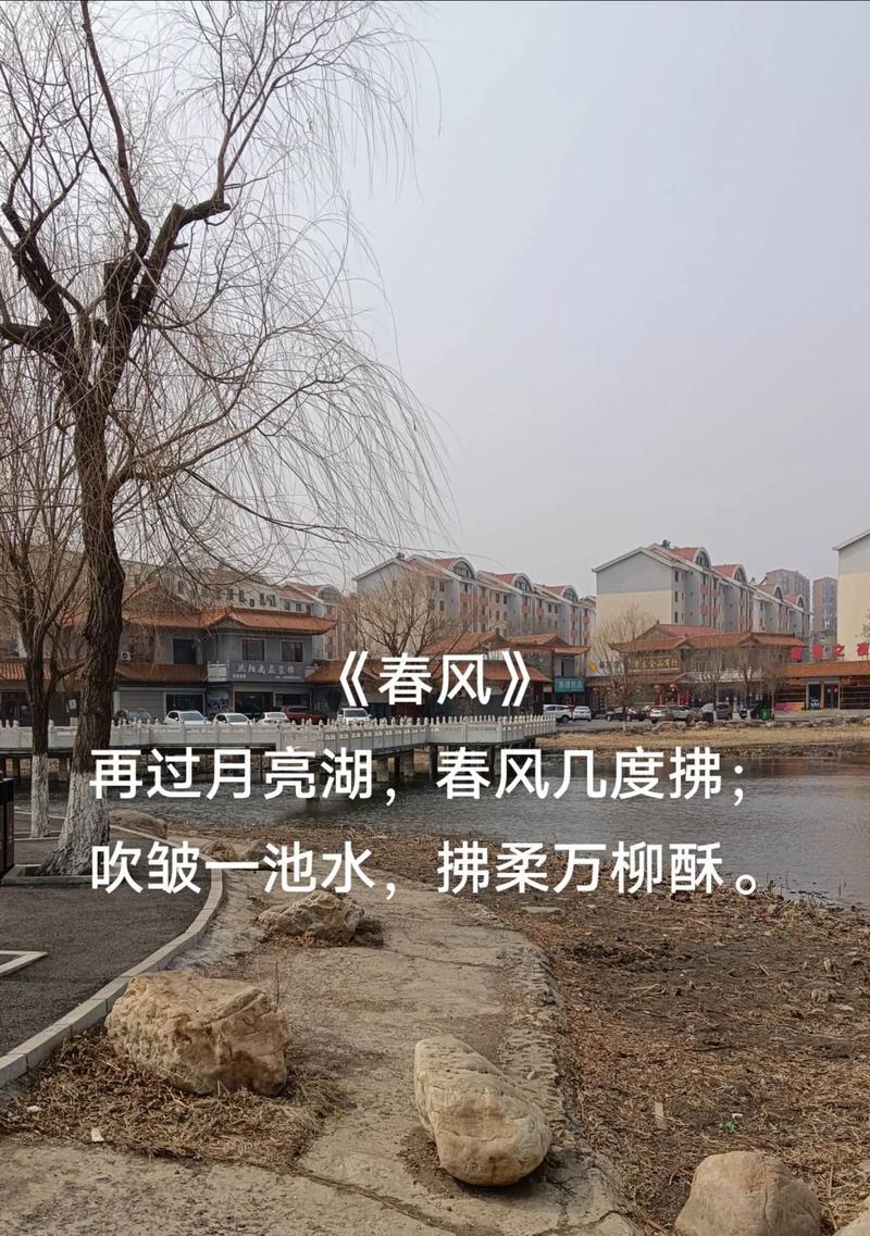 又见春什么意思（又见春分：四序更替之美）