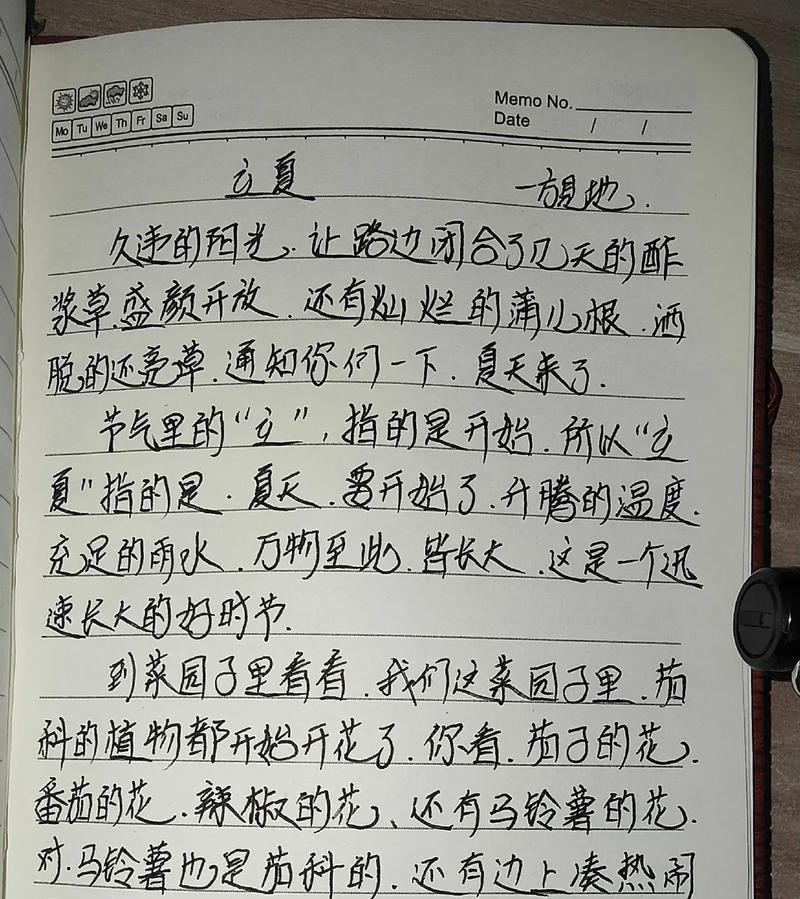 立夏斗蛋作文怎么写？（《蛋中世界的较量与温情》）