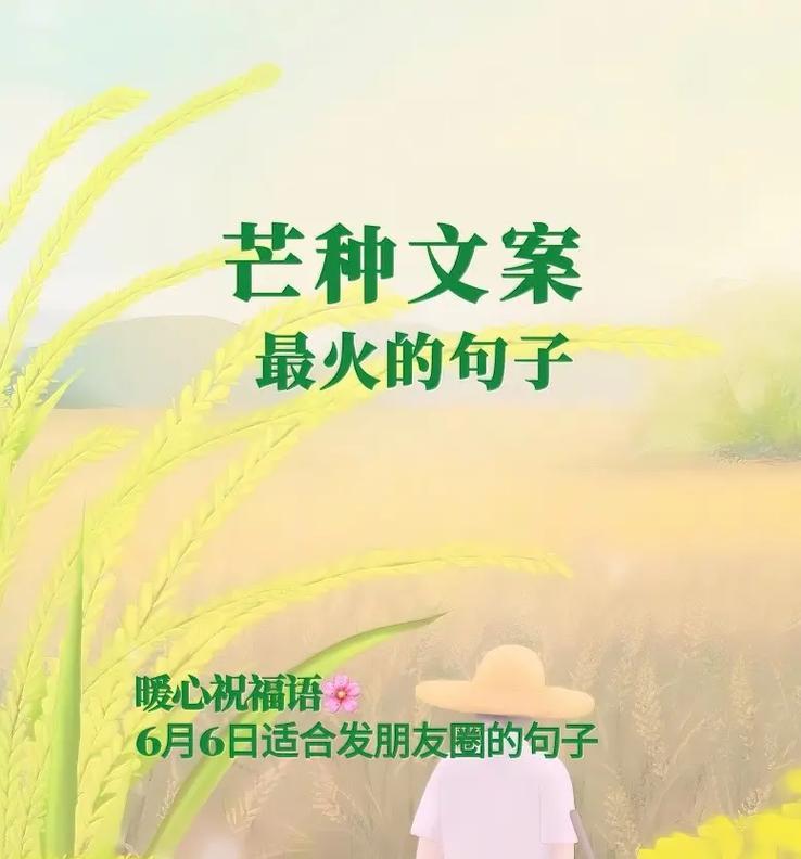 关于芒种的含义（《芒种欢歌：古风时节物语》）