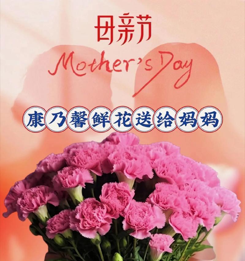 母亲康乃馨花束的（《康乃馨颂：母亲节的温馨古风赞》）