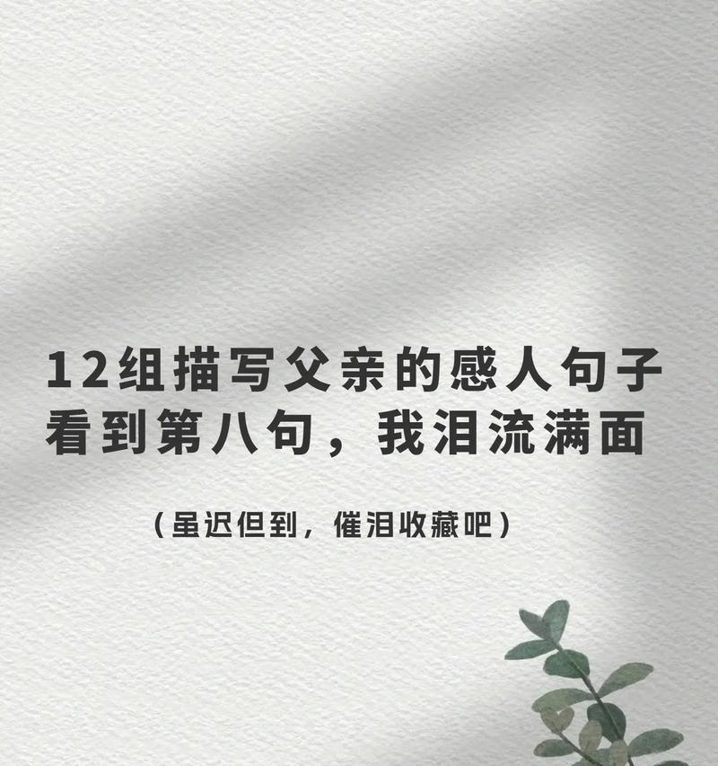 有关感恩伤感父亲节的句子的句子怎么写（《父恩如山：感恩怀远篇》）