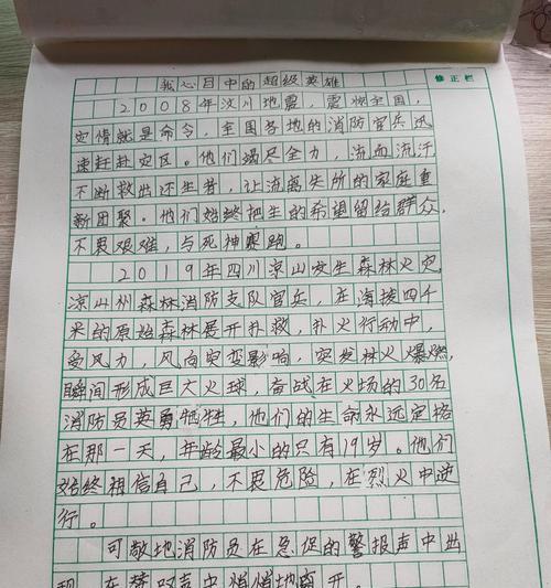 与消防员共渡端午节作文怎么写？（《端午情深，与英雄的节日》）