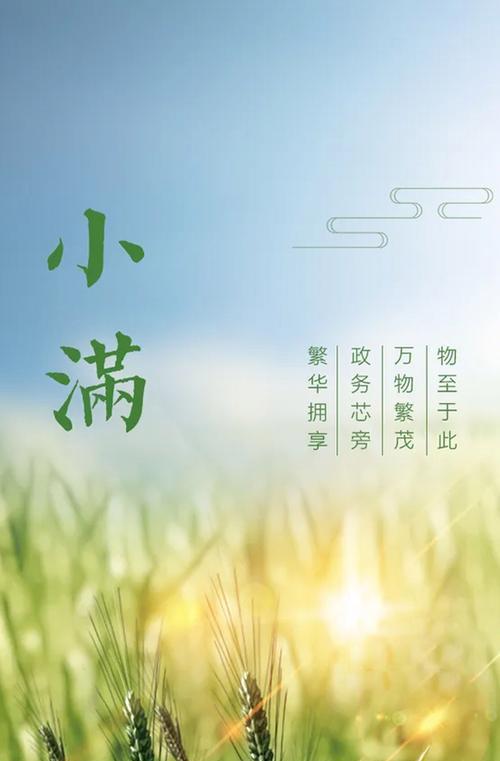有关小满有美好的句子怎么说的短句英语（《小满时节，诗意盈盈》）